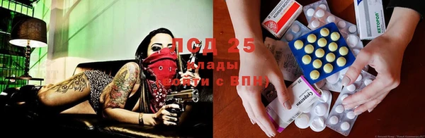 СК Алзамай