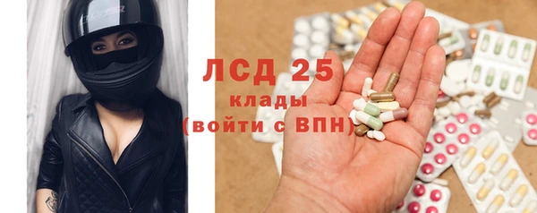 ПСИЛОЦИБИНОВЫЕ ГРИБЫ Алексеевка